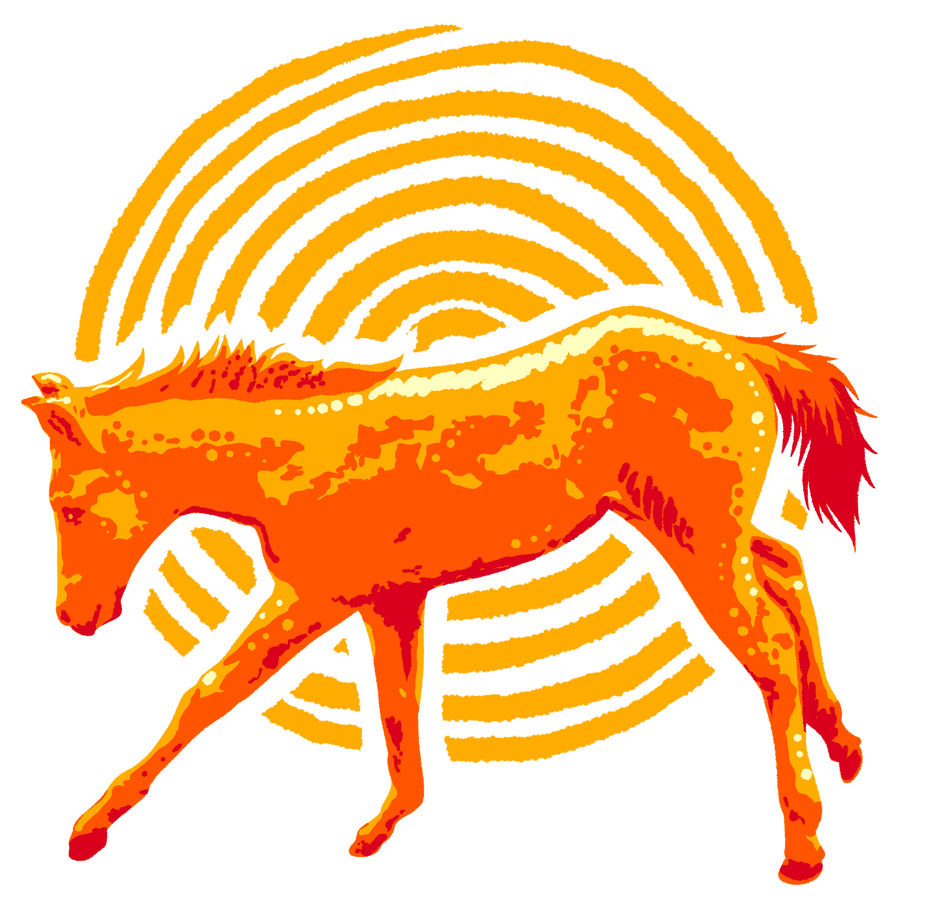 wittykilfequestrian